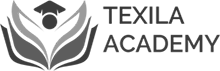 texila academy zambia logo